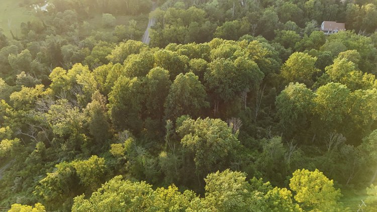 Image for Sold! Land For Auction | 554 Merlin Road, Phoenixville, PA 19460 |  September 23, 2025 at 4:00 PM