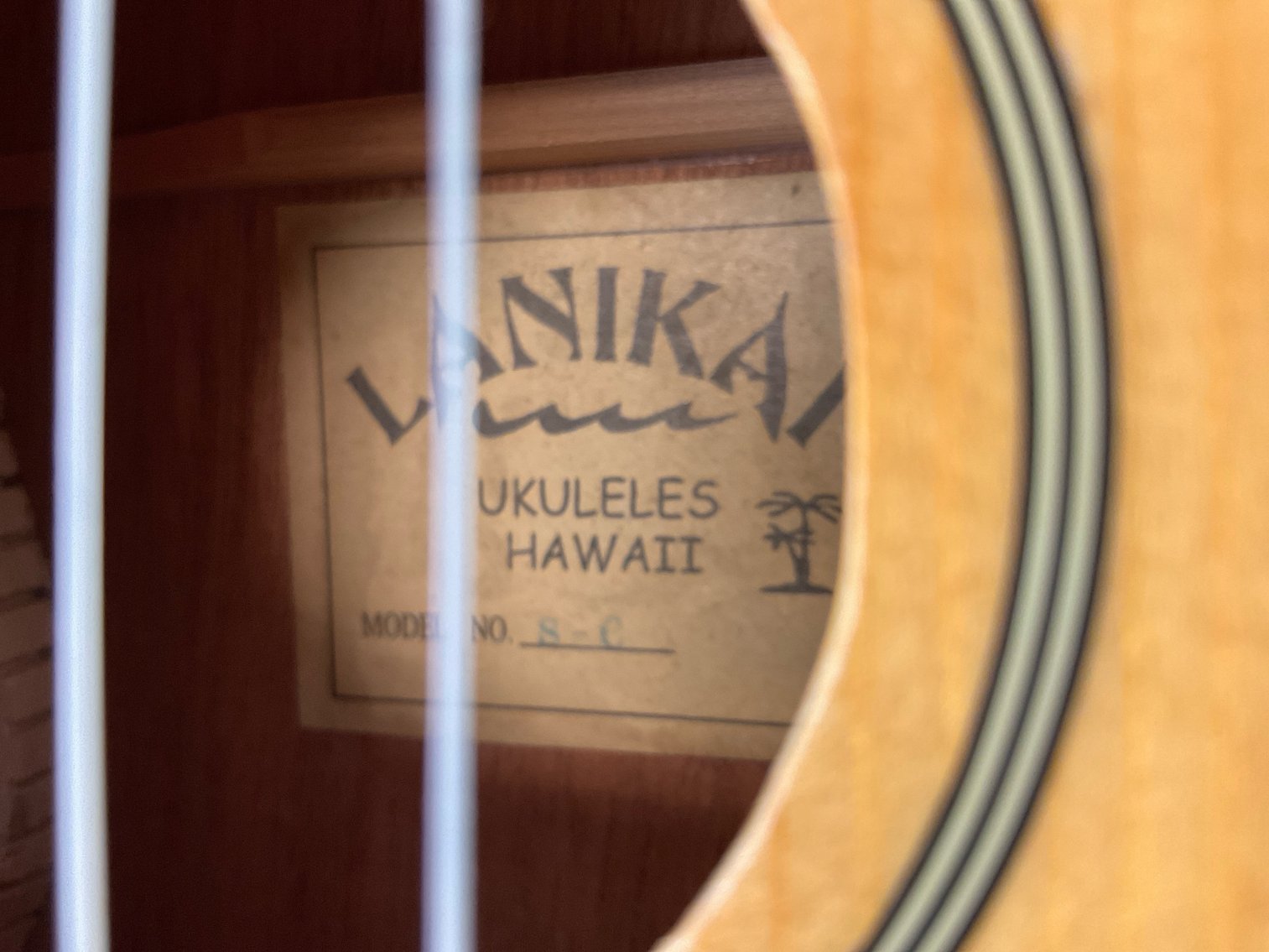 Image for Ukulele with Case