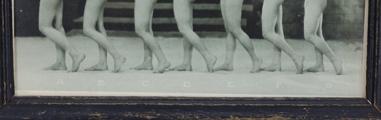 Image for Albert Arthur Allen (1886-1962)