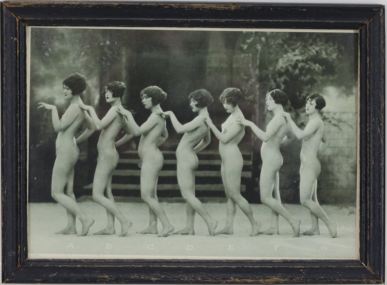 Image for Albert Arthur Allen (1886-1962)