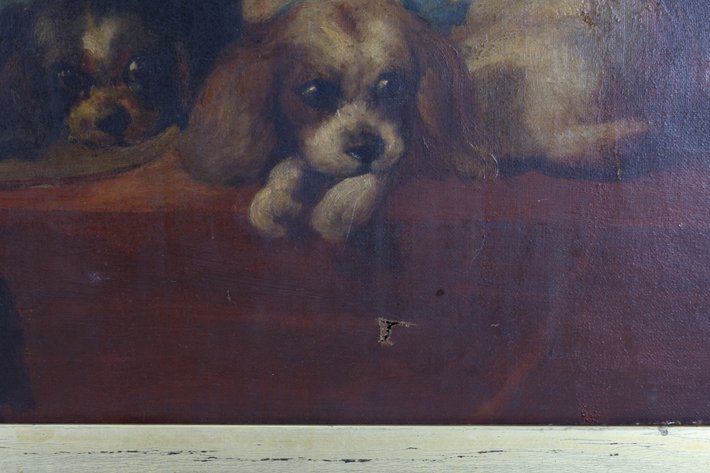 Image for Oil on Canvas