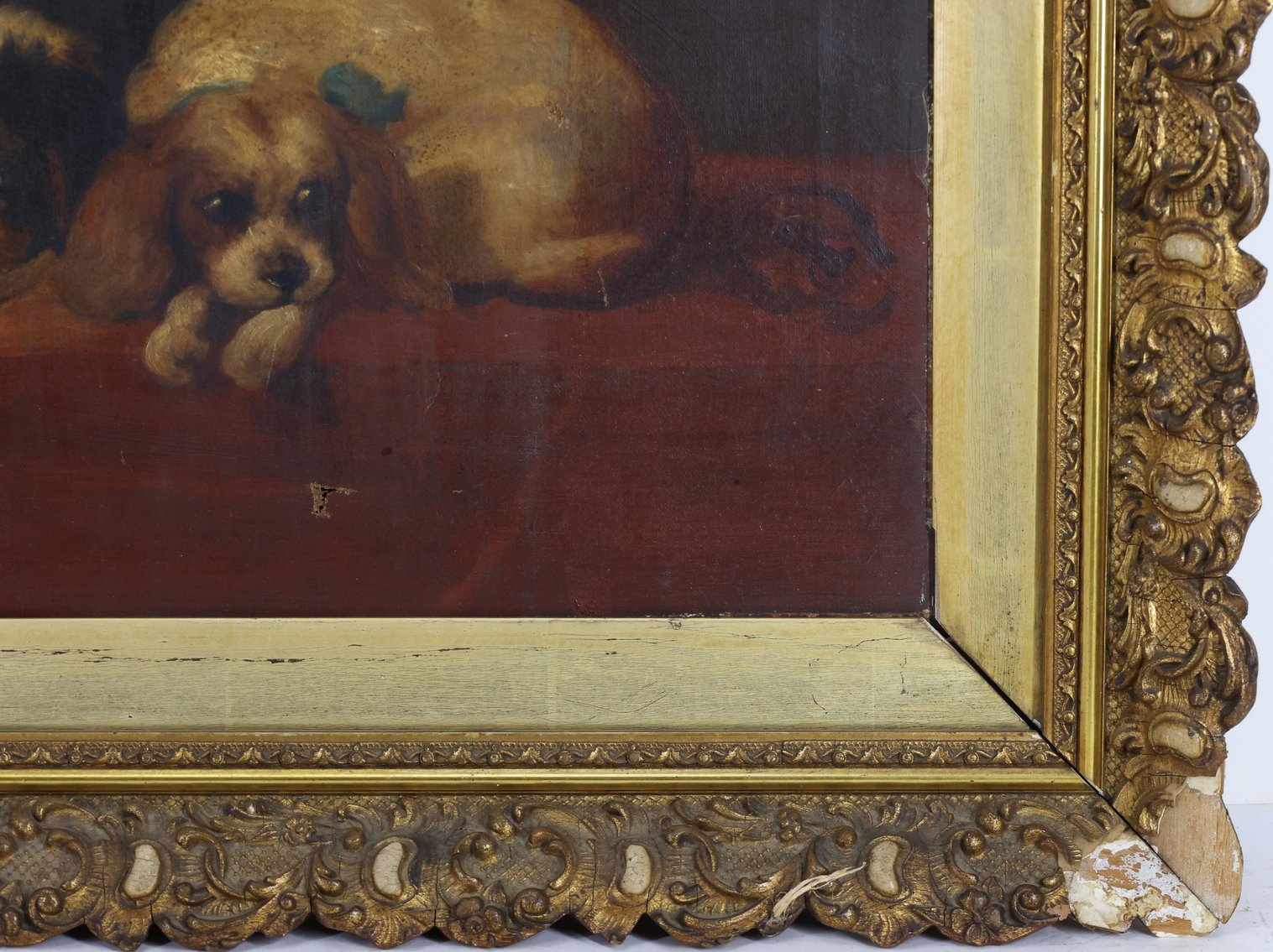 Image for Oil on Canvas