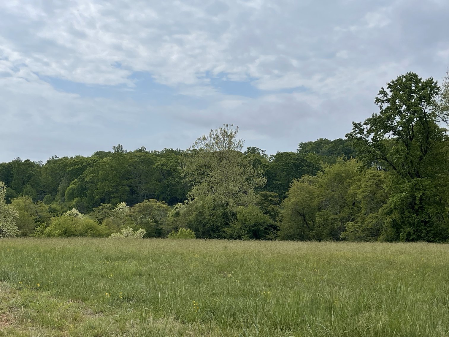 Image for 0 Rock Lily Rd