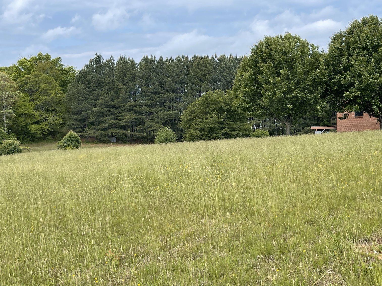 Image for 0 Rock Lily Rd