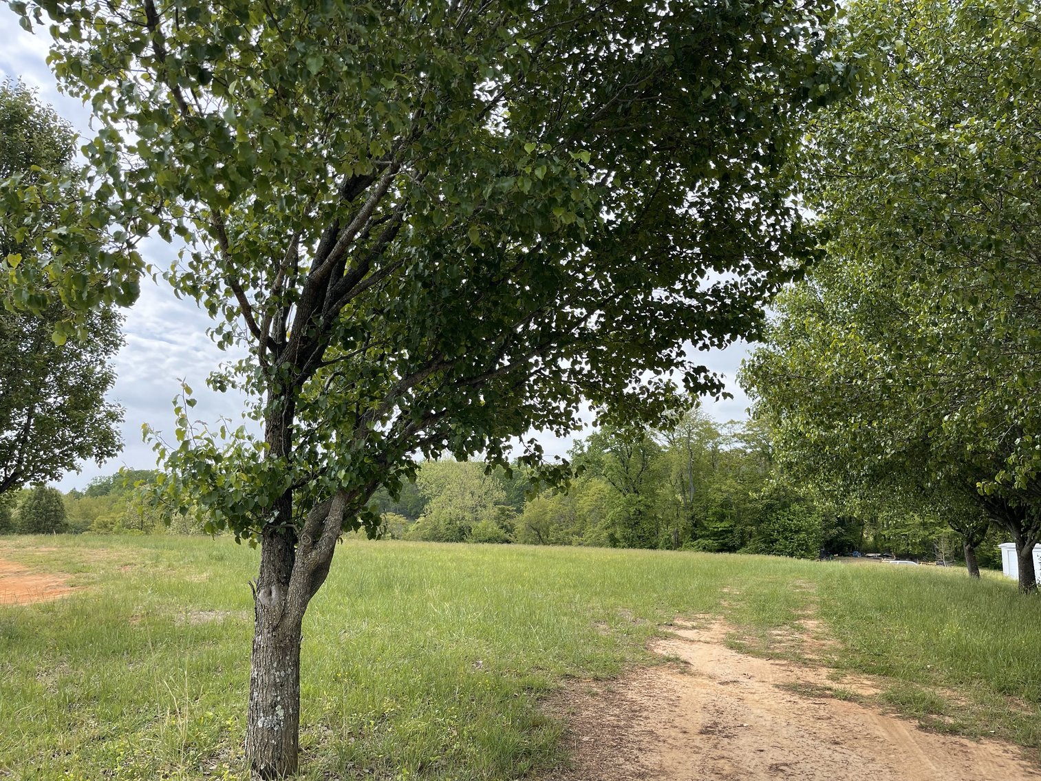 Image for 0 Rock Lily Rd