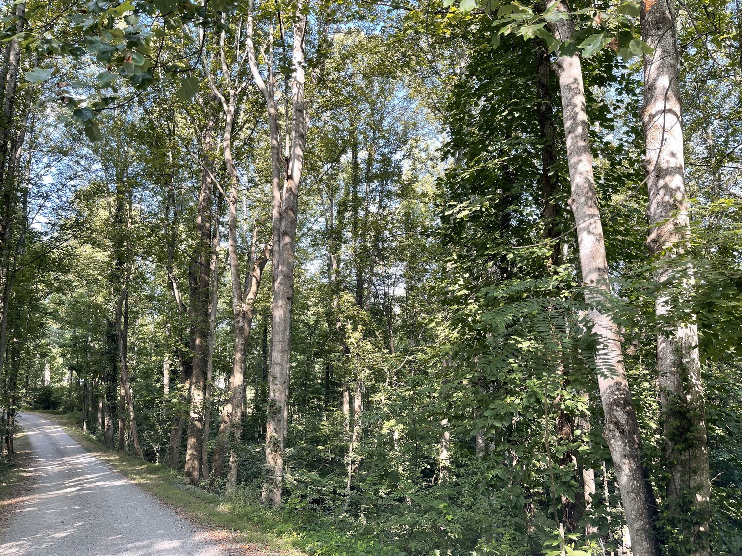 Image for 00 Sontag Road  Rocky Mount, VA 24151