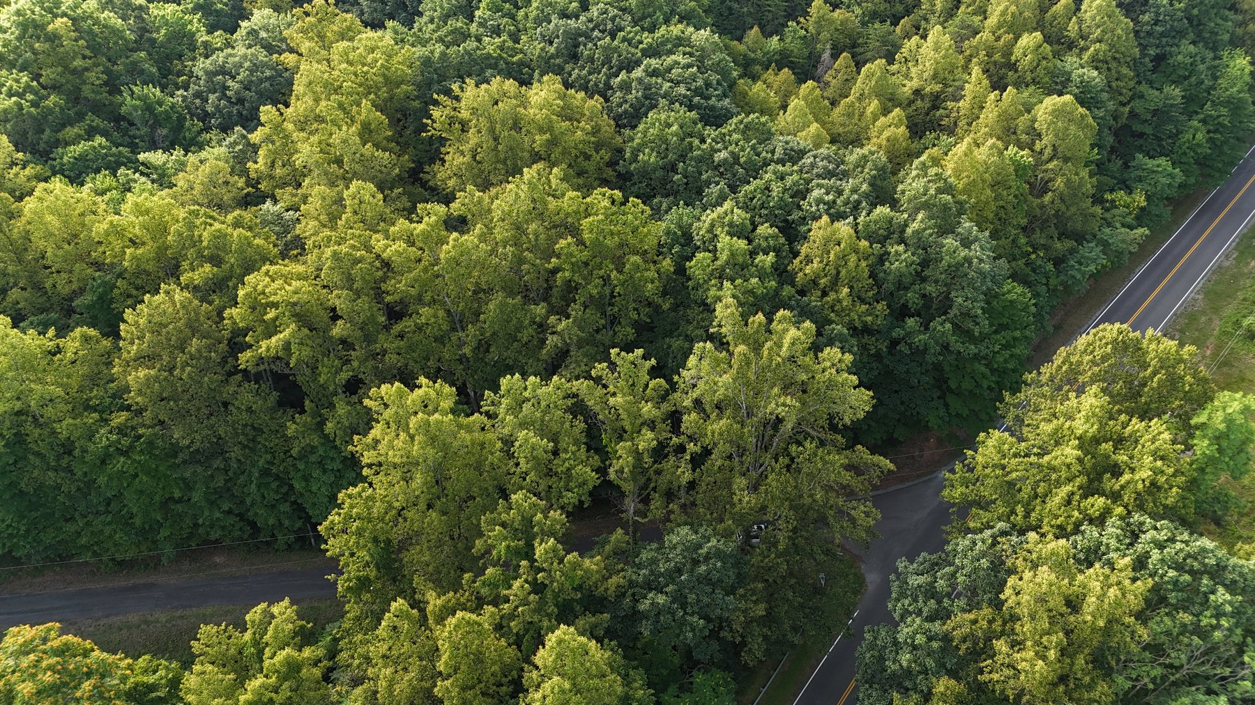 Image for 00 Sontag Road  Rocky Mount, VA 24151