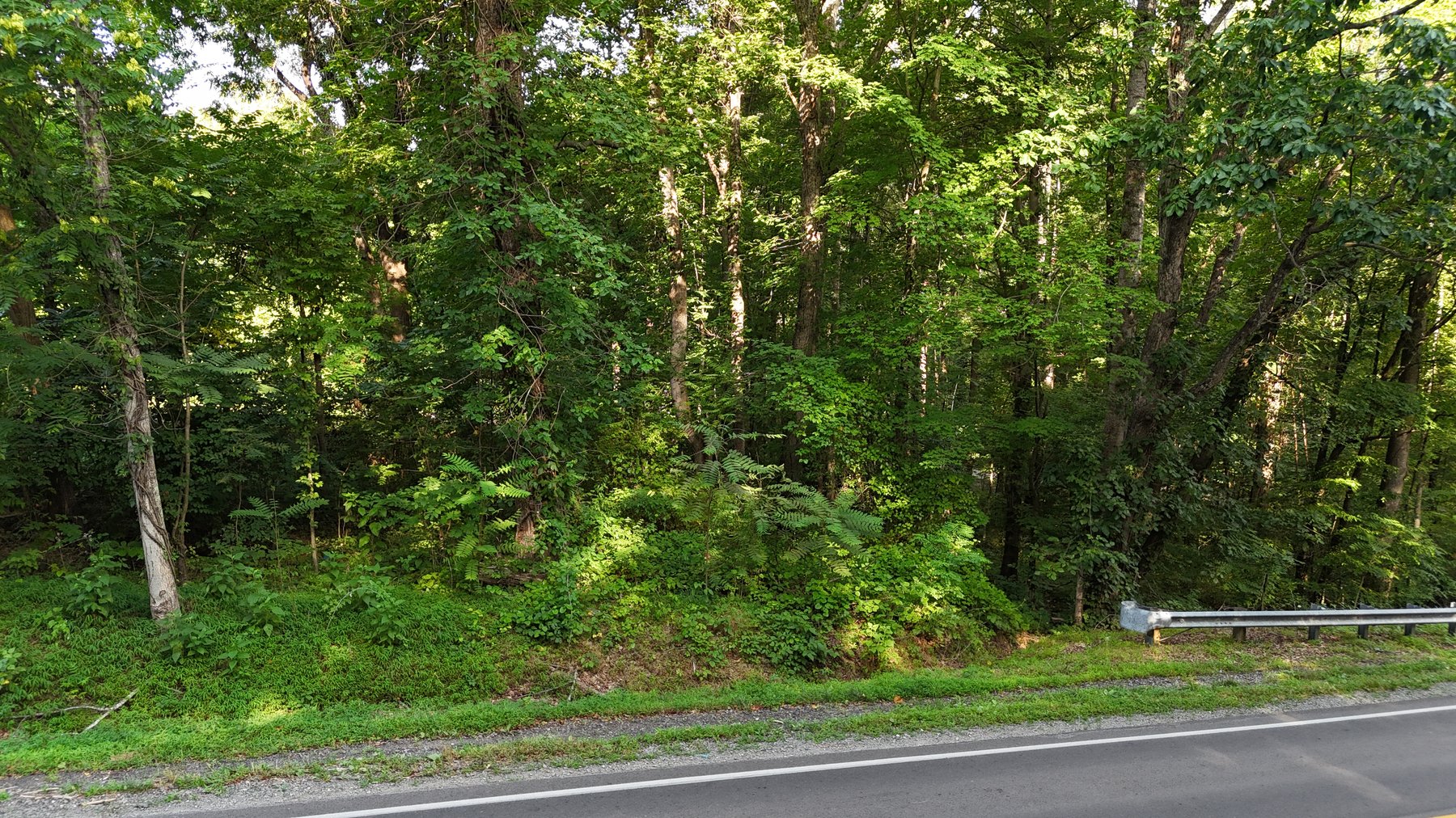 Image for 00 Sontag Road  Rocky Mount, VA 24151