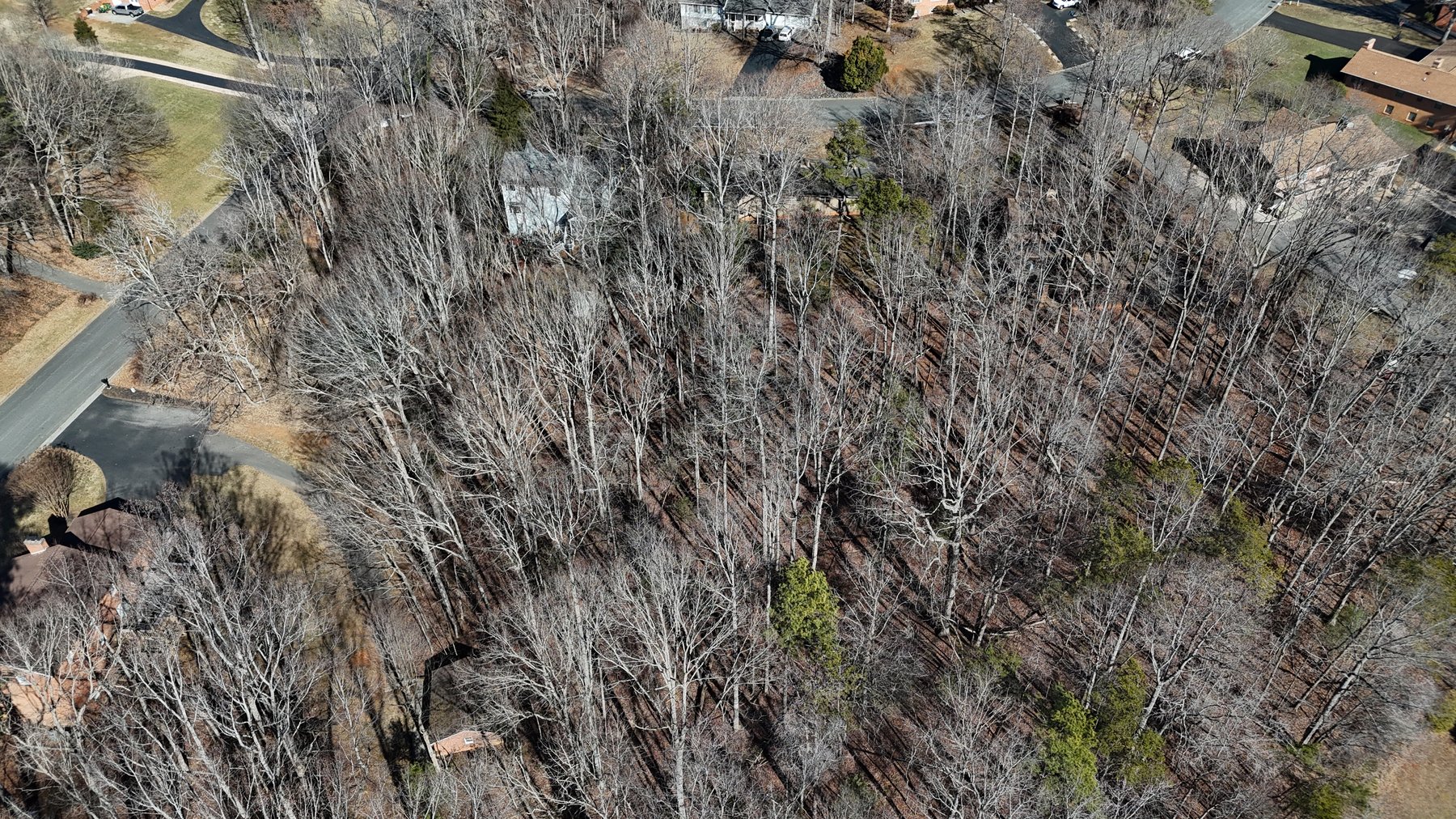 Image for 155 Oxford Circle Real Estate Auction