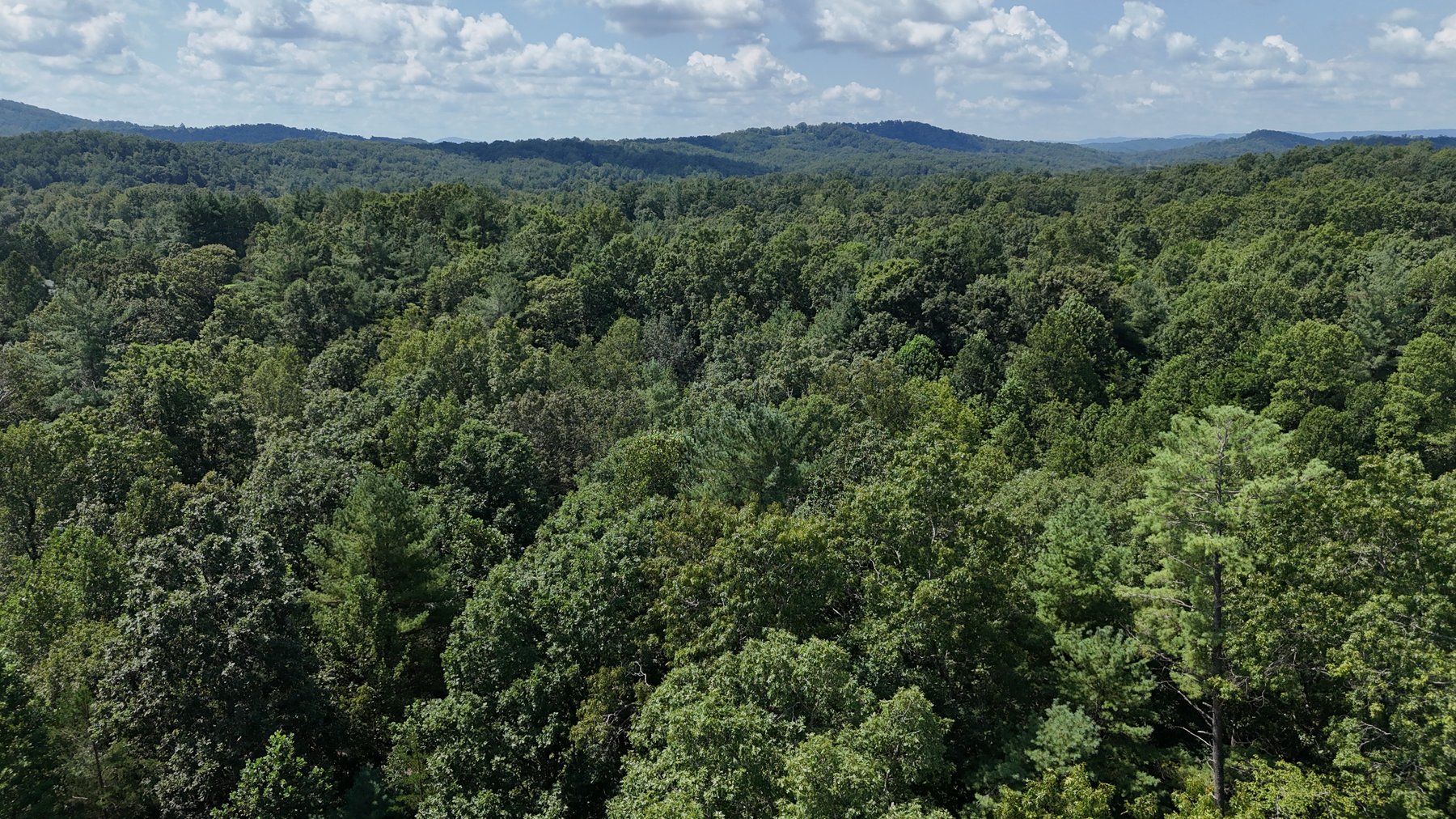 Image for 460 White Oak Rd  Boones Mill, VA