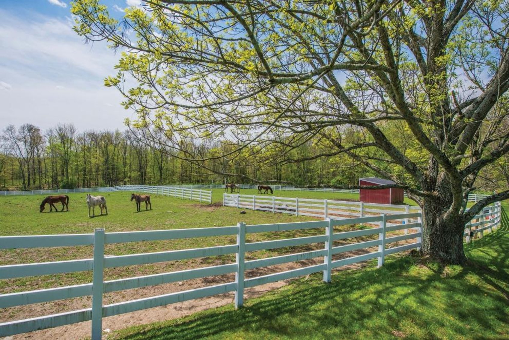 Image for Wonderland Farms - A 127+/- Acres Equestrian Estate