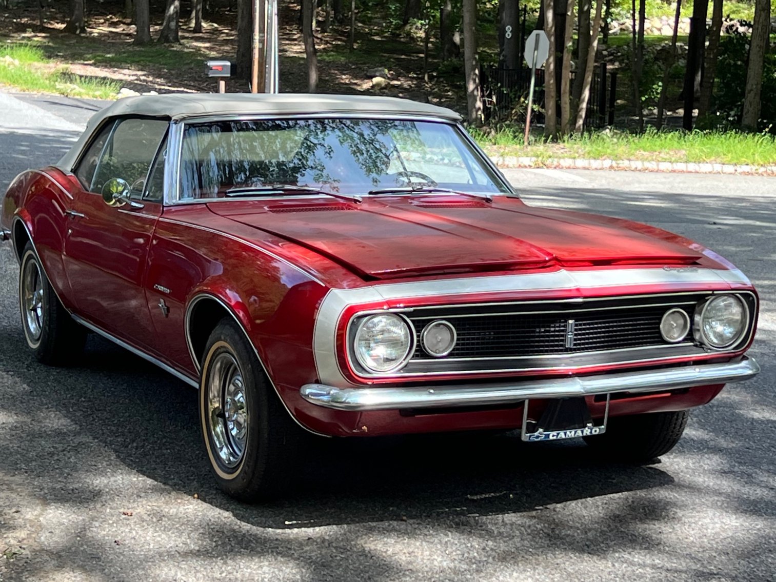 Image for Classic Car Collection & Polaris UTV