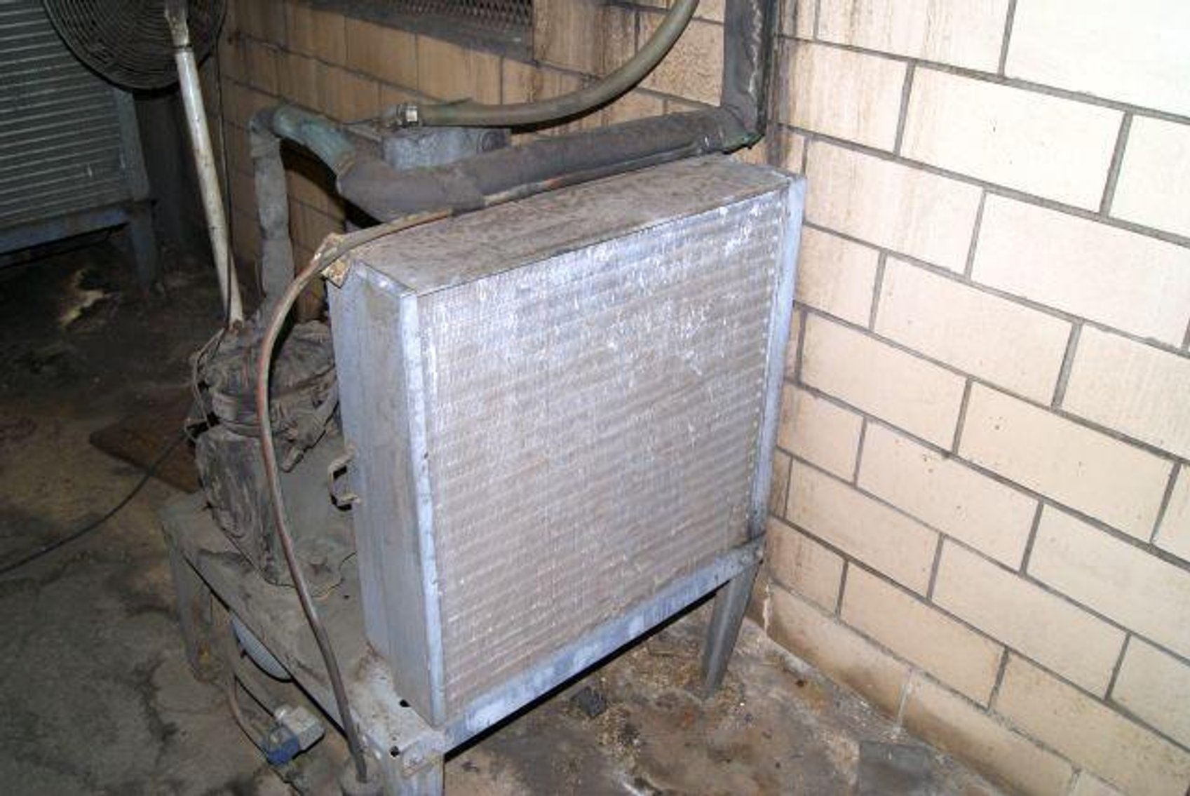 Image for Mattingly Foods Cash And Carry