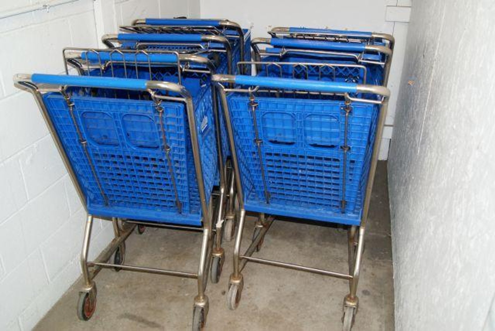 Image for Mattingly Foods Cash And Carry