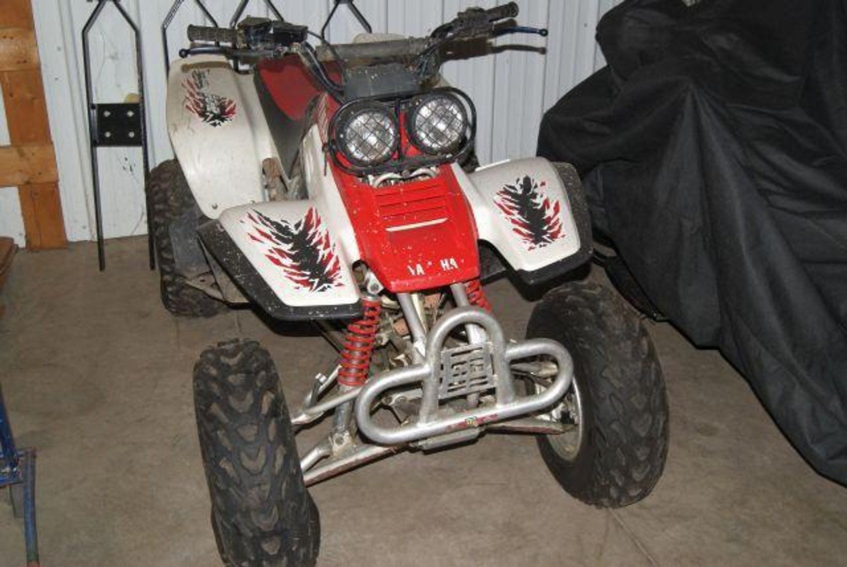 Image for Mattingly Foods Cash And Carry