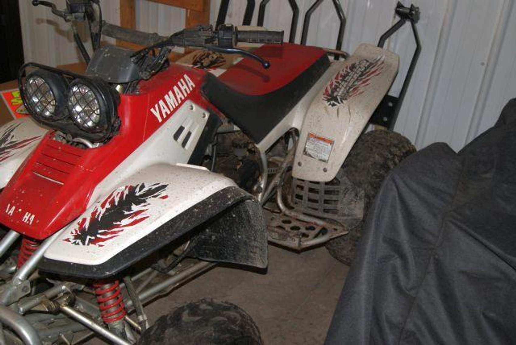 Image for Mattingly Foods Cash And Carry