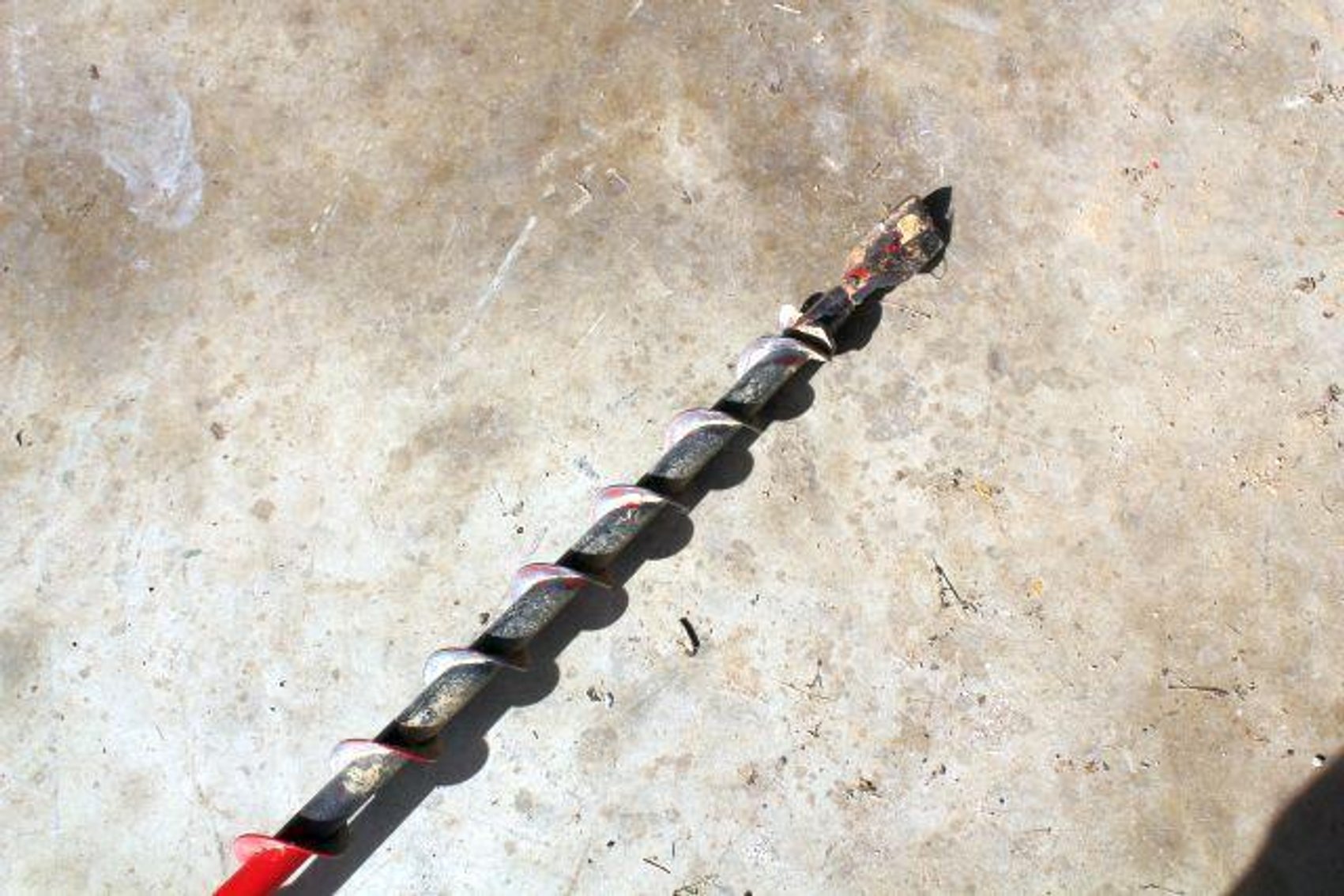 Image for SCHOLL FAMILY AUCTION