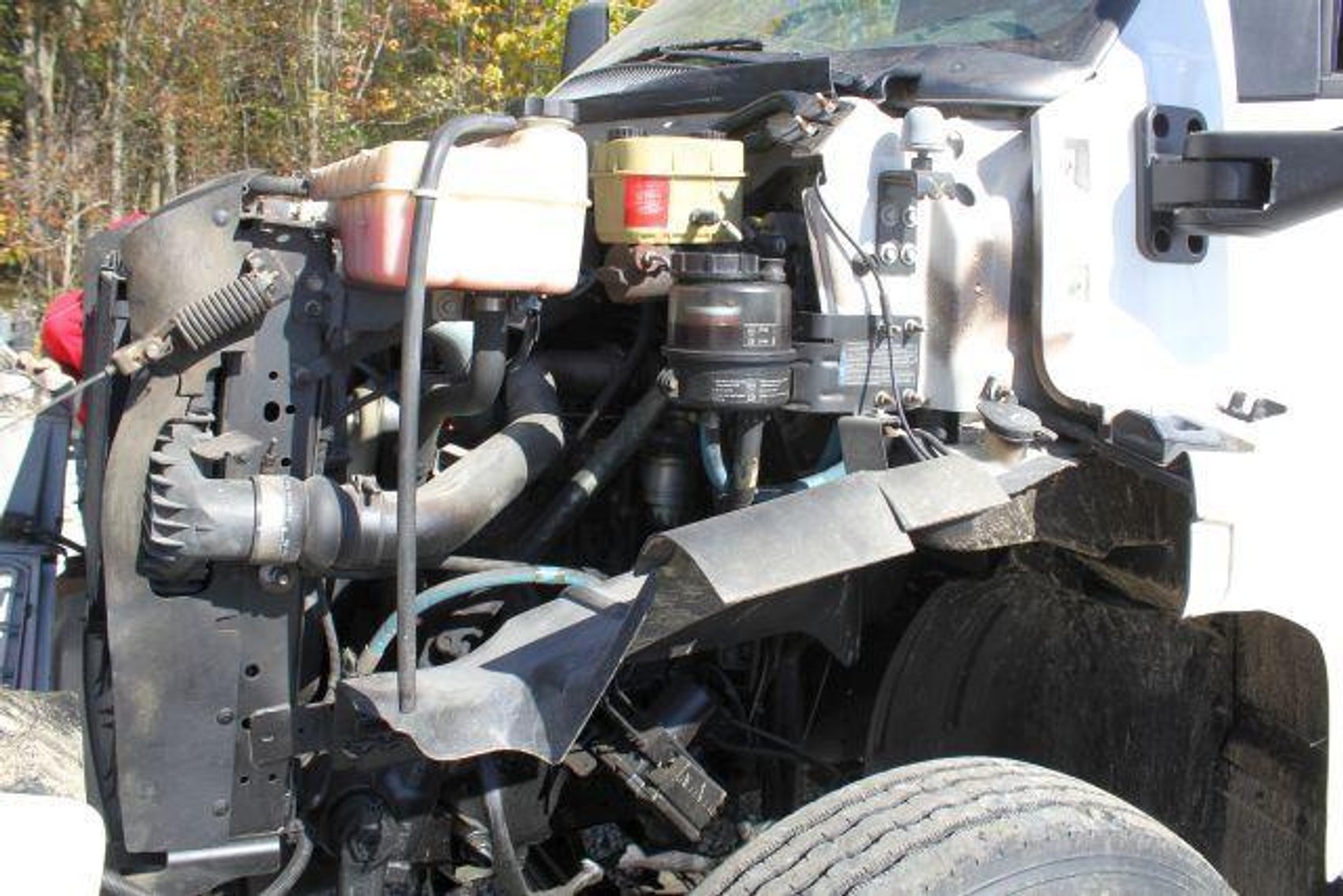 Image for SCHOLL FAMILY AUCTION