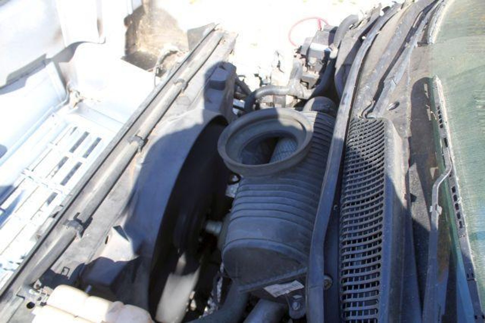 Image for SCHOLL FAMILY AUCTION