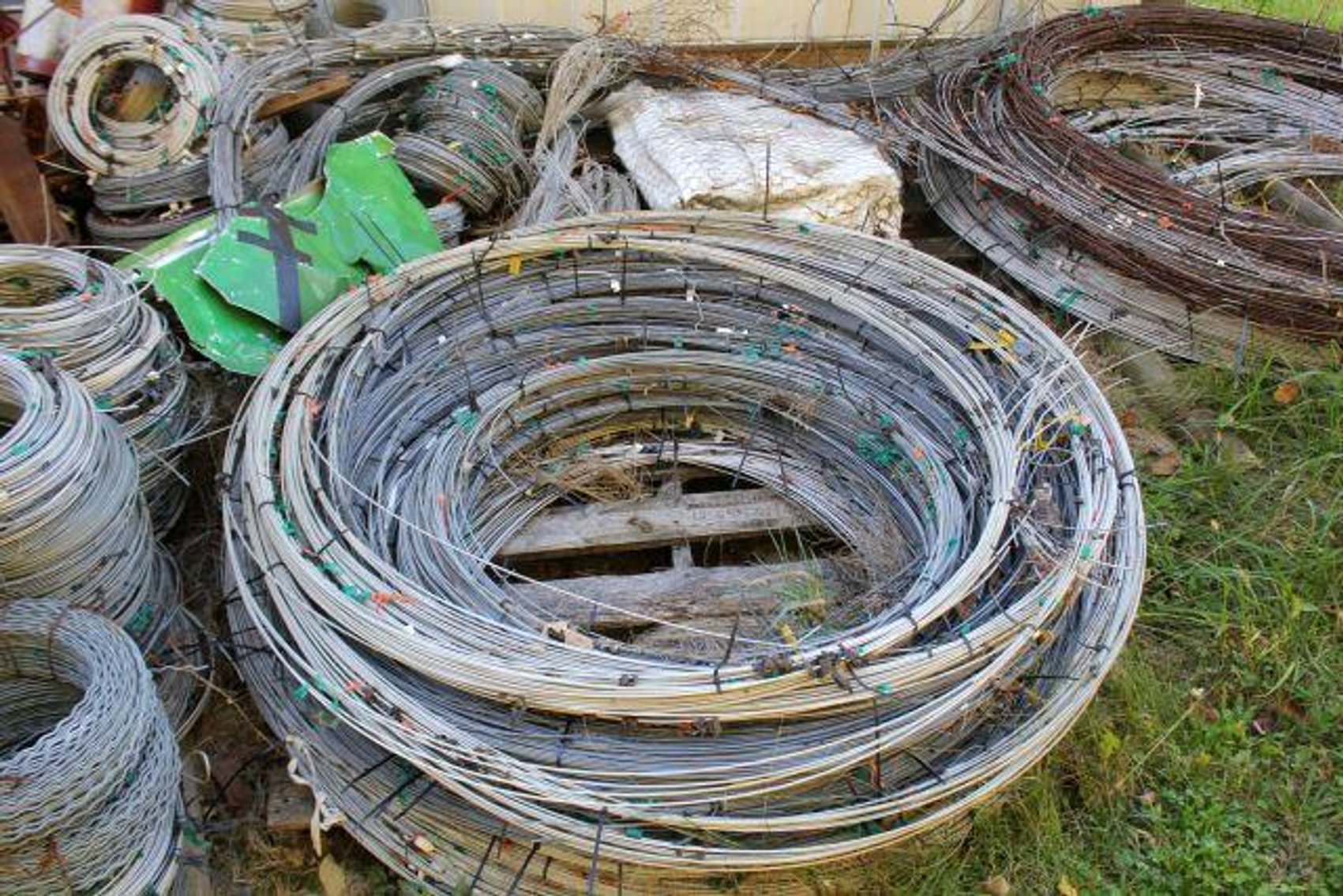 Image for SCHOLL FAMILY AUCTION