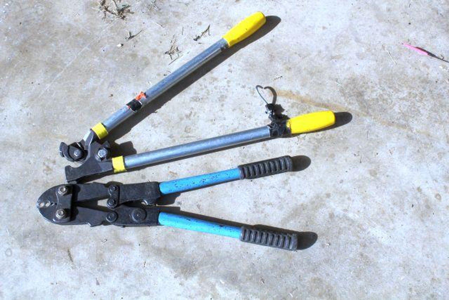 Image for SCHOLL FAMILY AUCTION