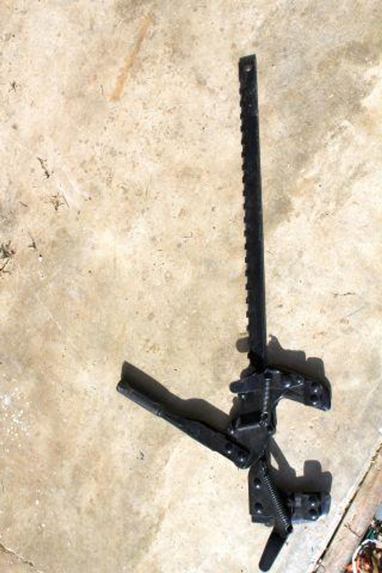 Image for SCHOLL FAMILY AUCTION