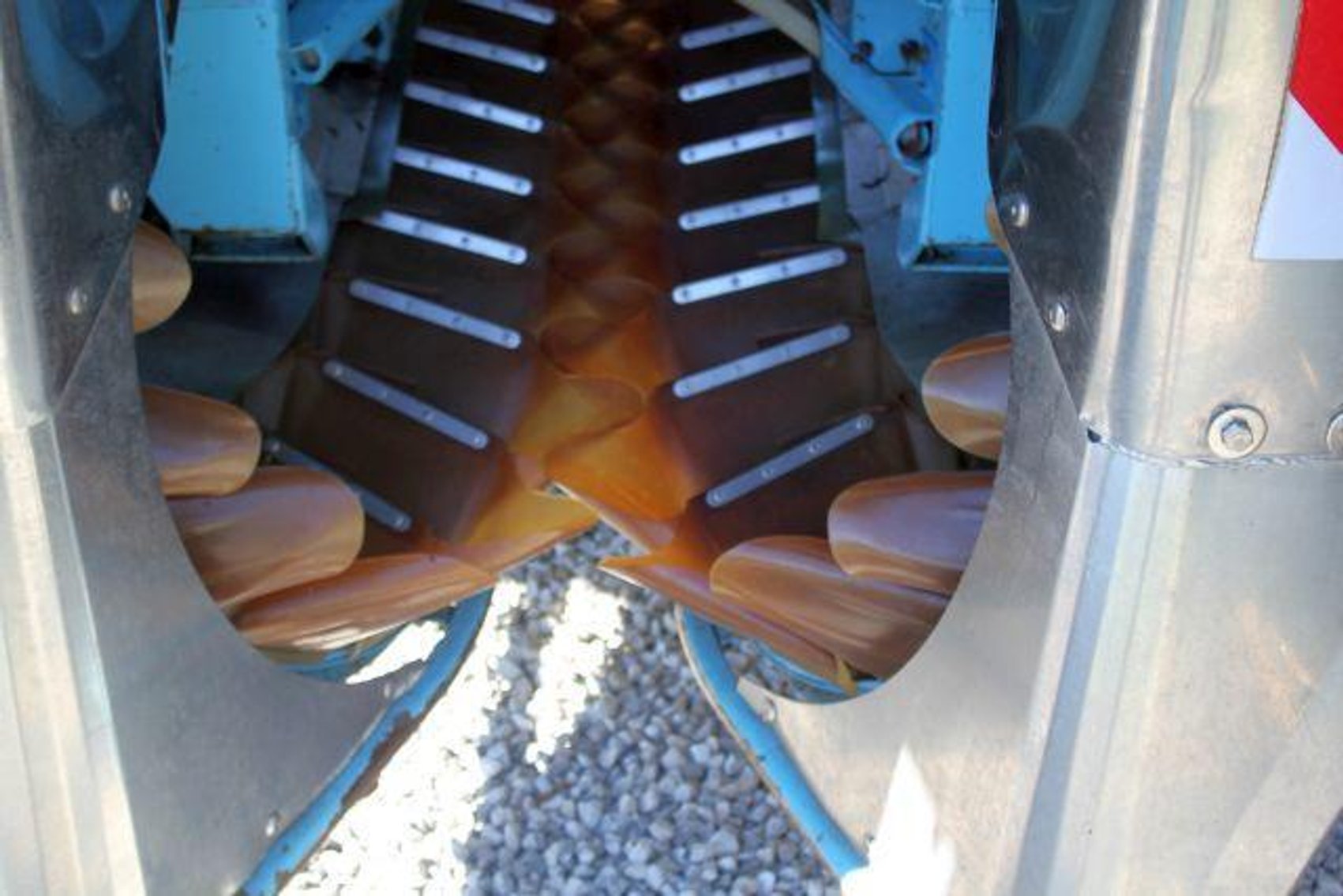 Image for SCHOLL FAMILY AUCTION