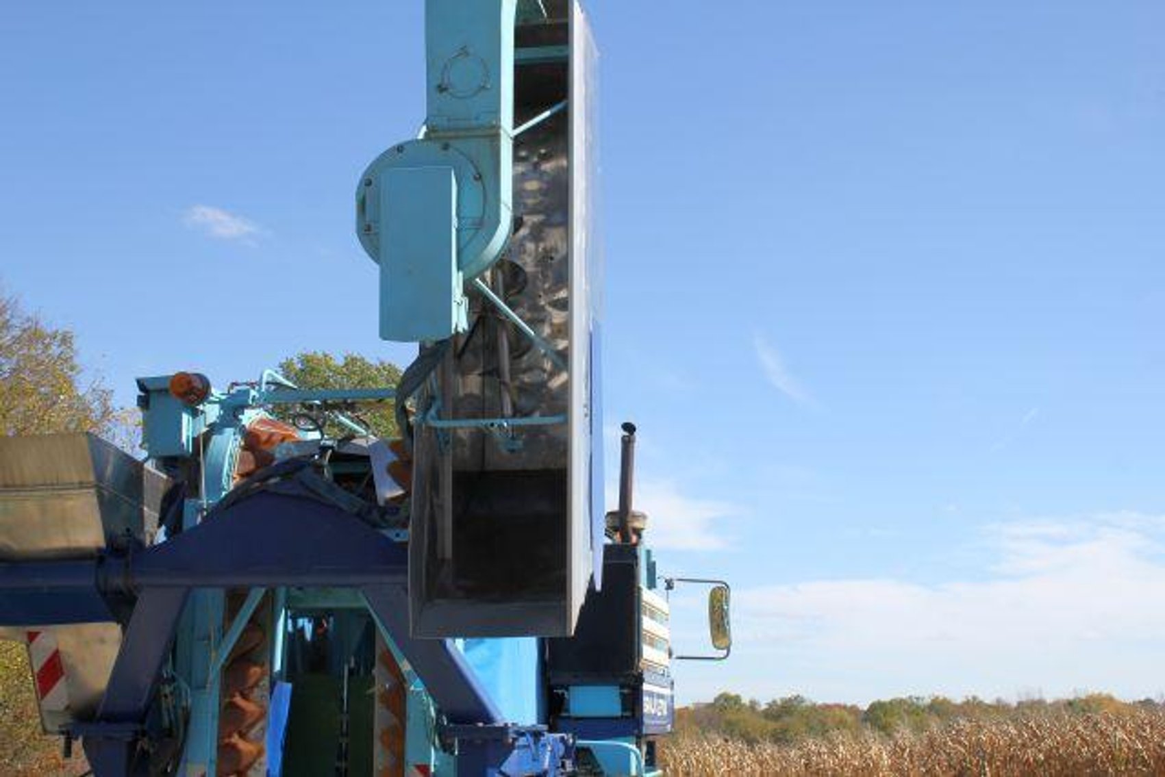 Image for SCHOLL FAMILY AUCTION