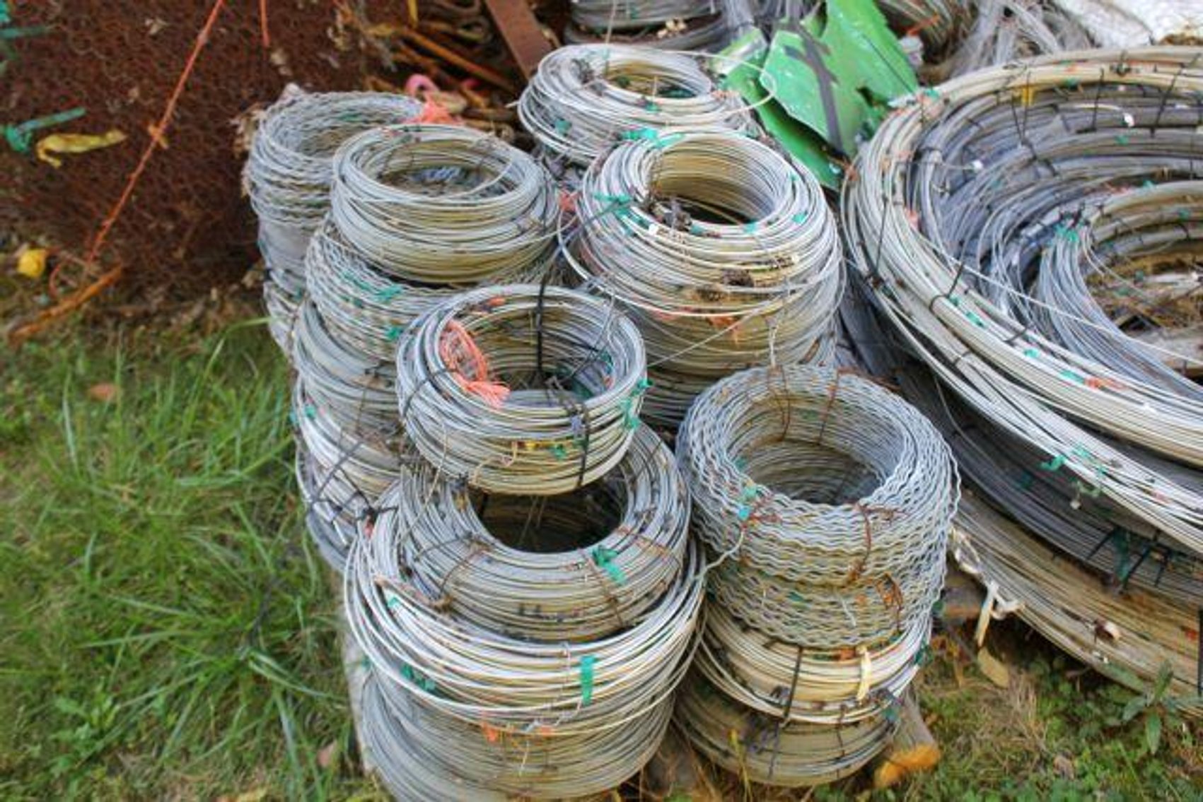 Image for SCHOLL FAMILY AUCTION