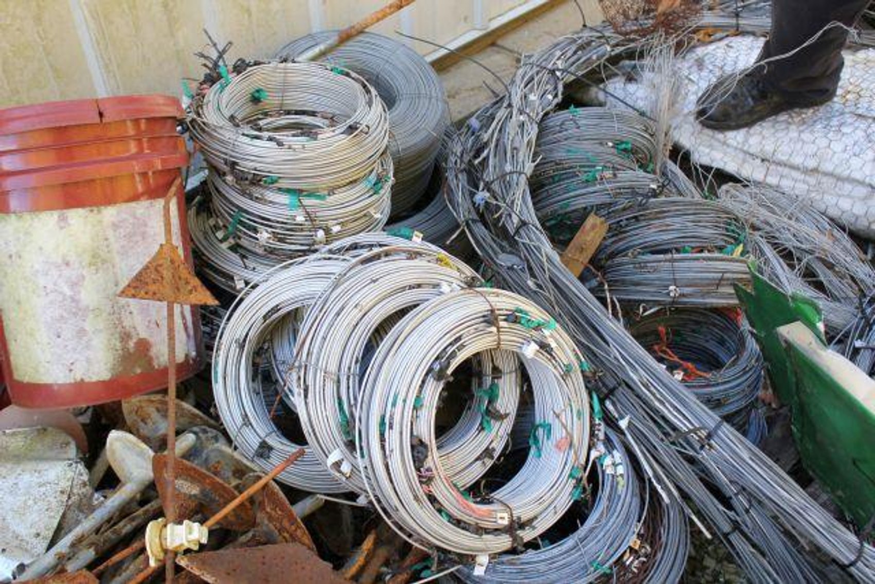 Image for SCHOLL FAMILY AUCTION