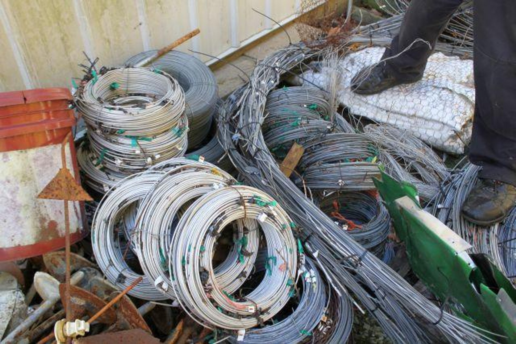 Image for SCHOLL FAMILY AUCTION