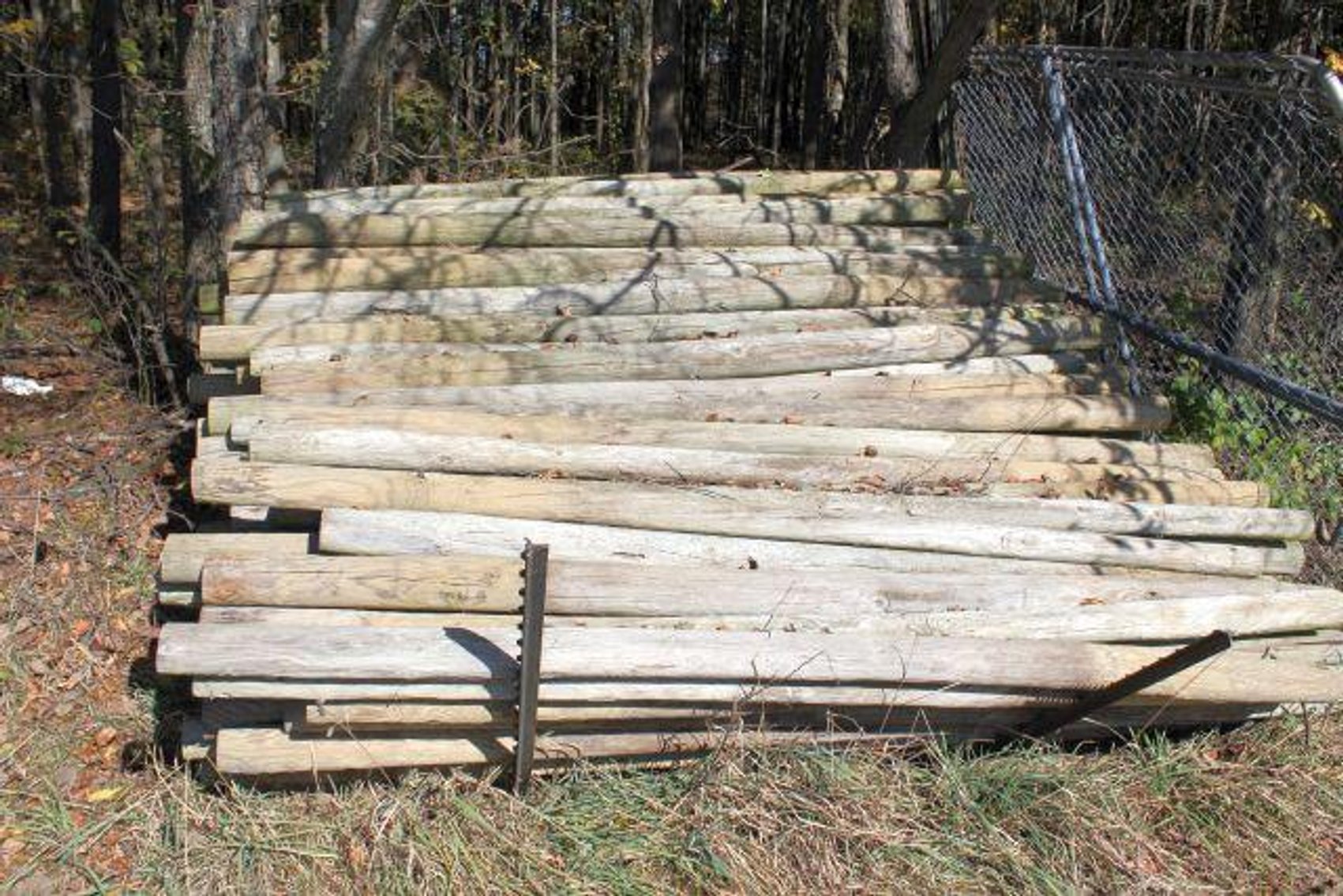 Image for SCHOLL FAMILY AUCTION