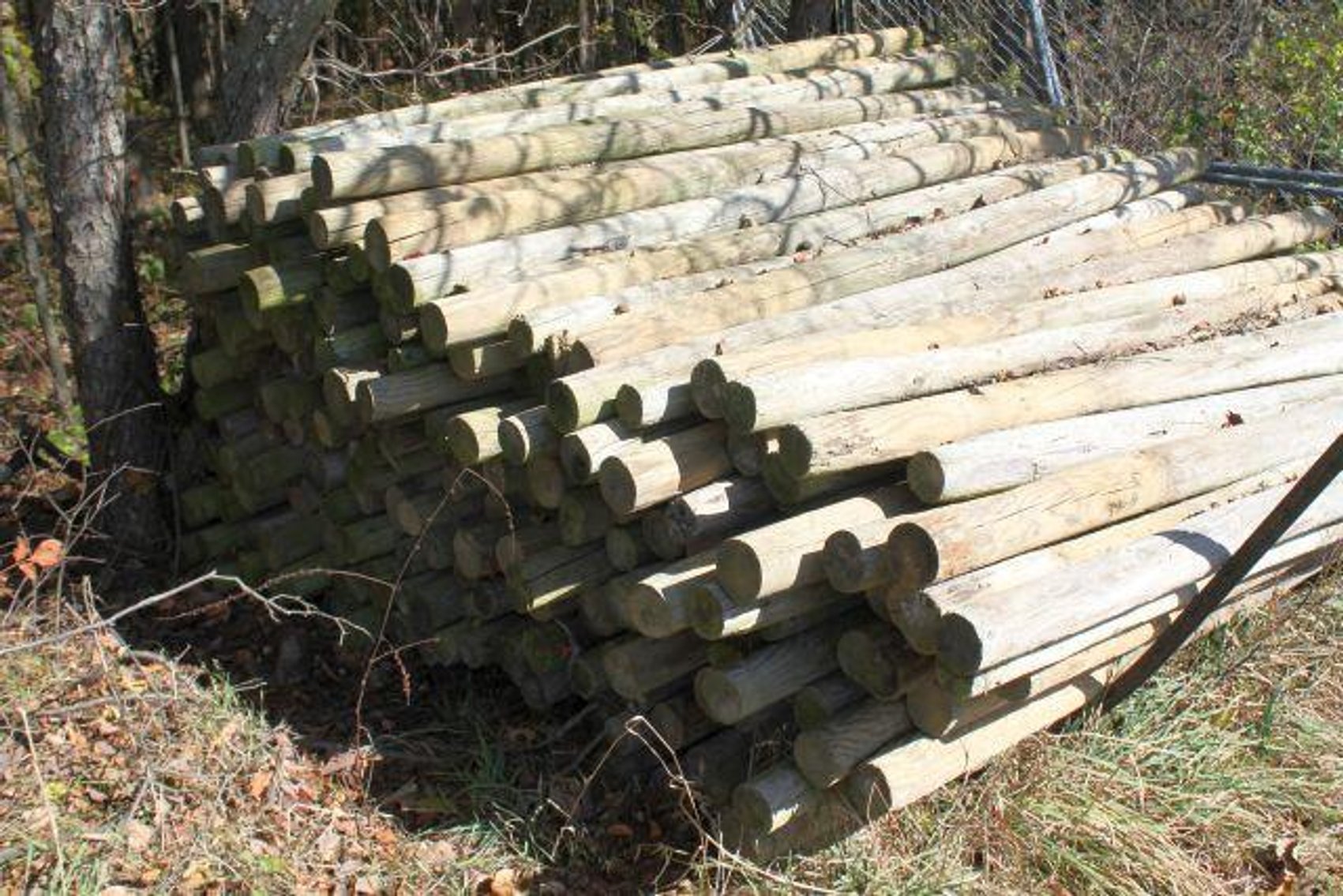 Image for SCHOLL FAMILY AUCTION