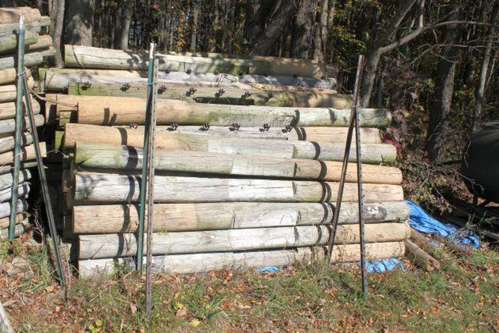 Image for SCHOLL FAMILY AUCTION