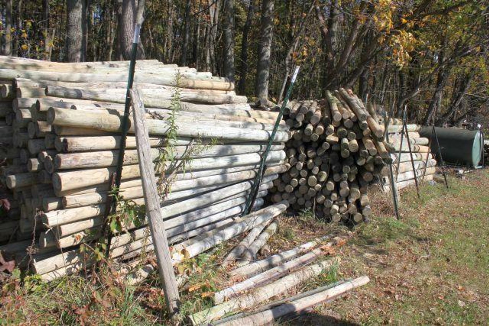 Image for SCHOLL FAMILY AUCTION