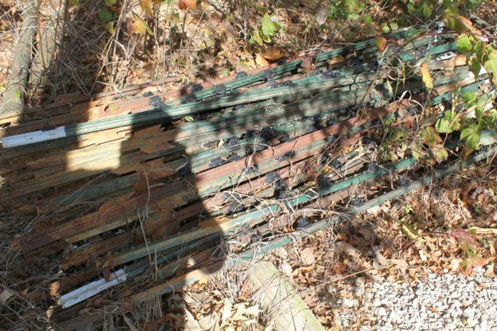 Image for SCHOLL FAMILY AUCTION