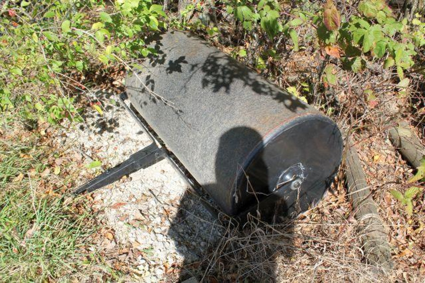 Image for SCHOLL FAMILY AUCTION