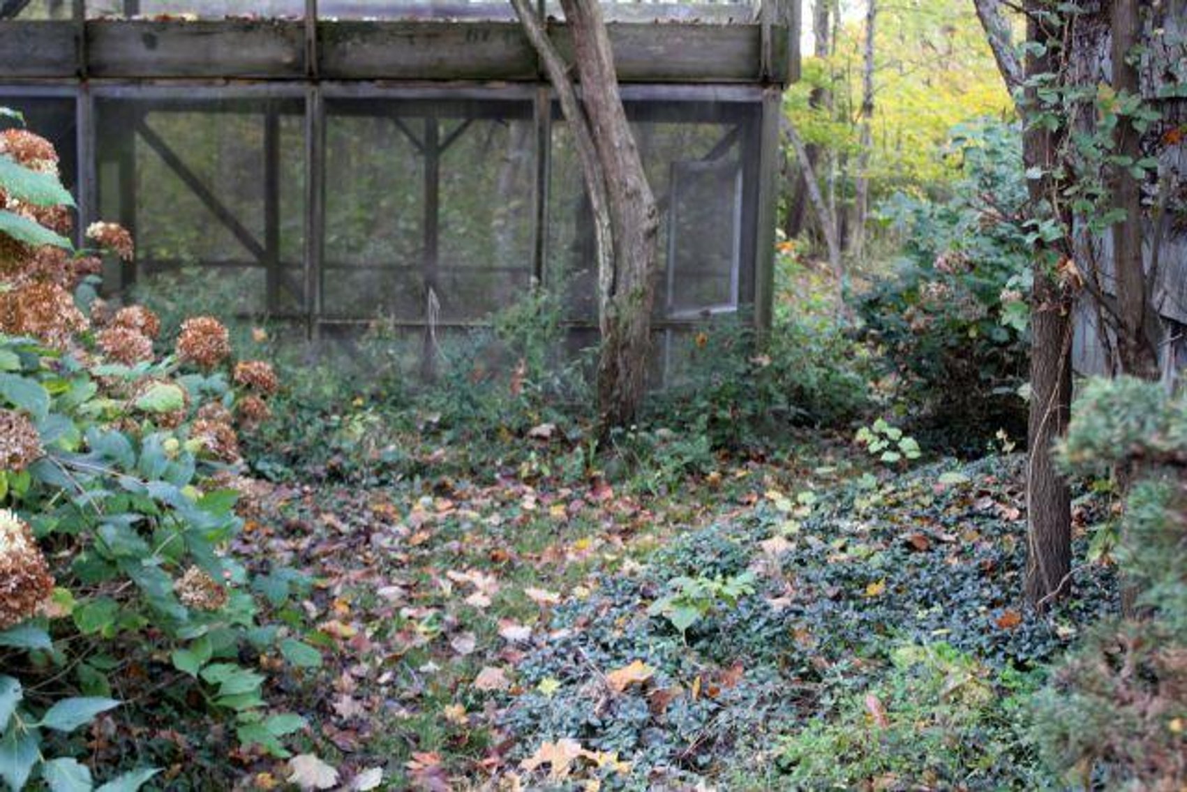 Image for ABSOLUTE REAL ESTATE AUCTION