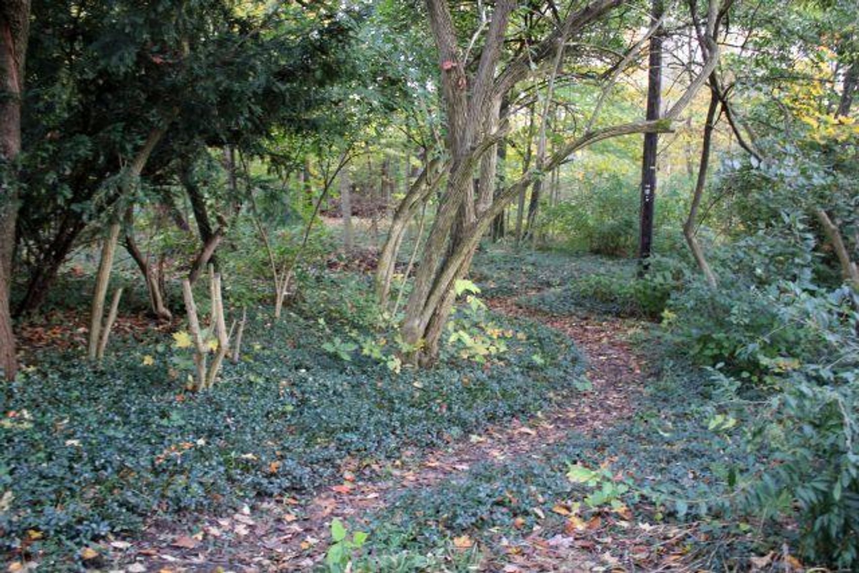 Image for ABSOLUTE REAL ESTATE AUCTION