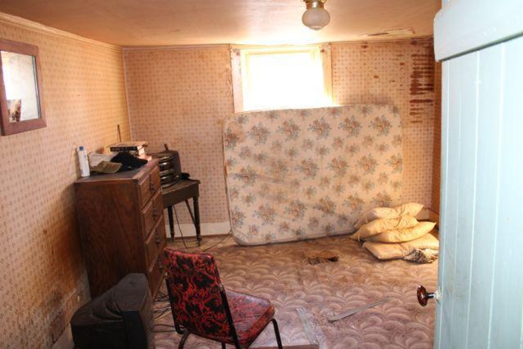 Image for Shirley Doup Estate