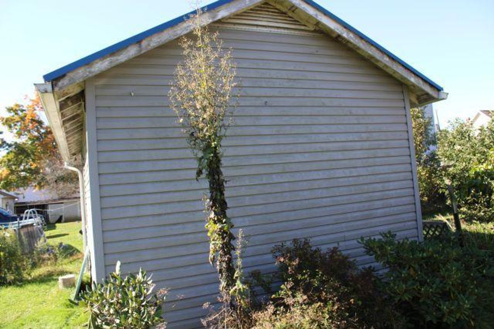 Image for Shirley Doup Estate