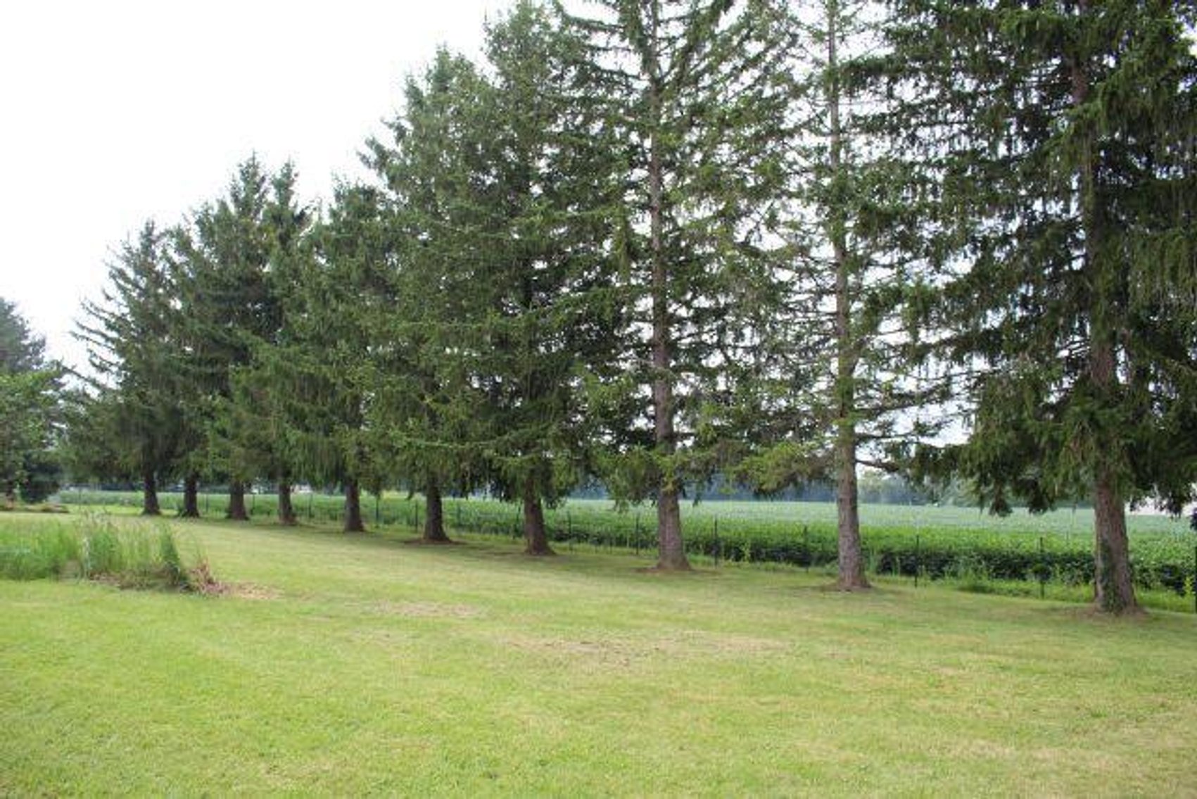 Image for CARDINGTON- REAL ESTATE