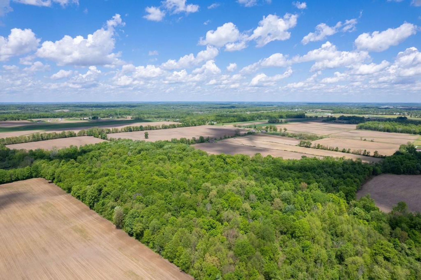 Image for 160 ACRE FARM-CENTERBURG OH