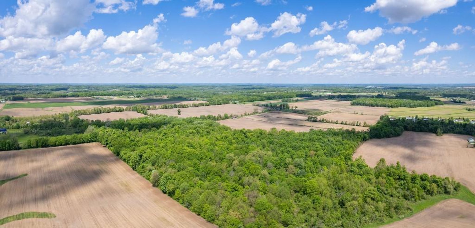 Image for 160 ACRE FARM-CENTERBURG OH