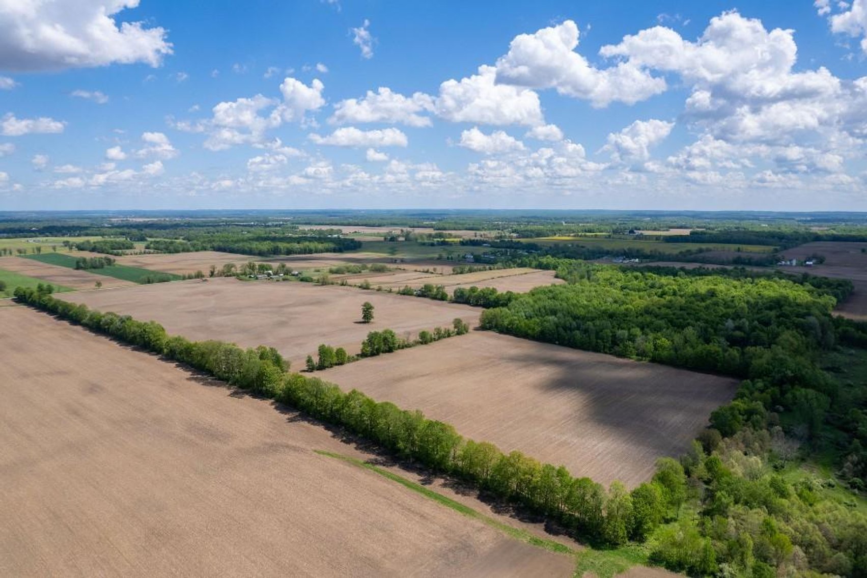 Image for 160 ACRE FARM-CENTERBURG OH