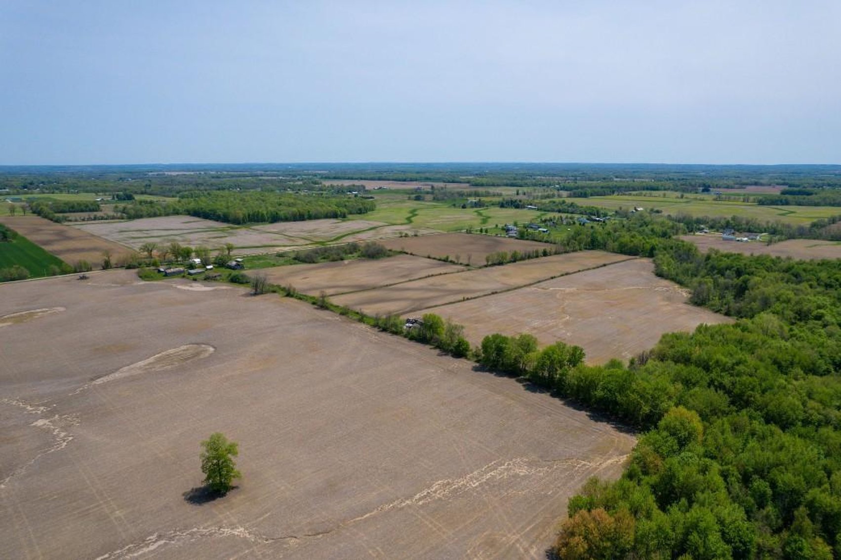Image for 160 ACRE FARM-CENTERBURG OH