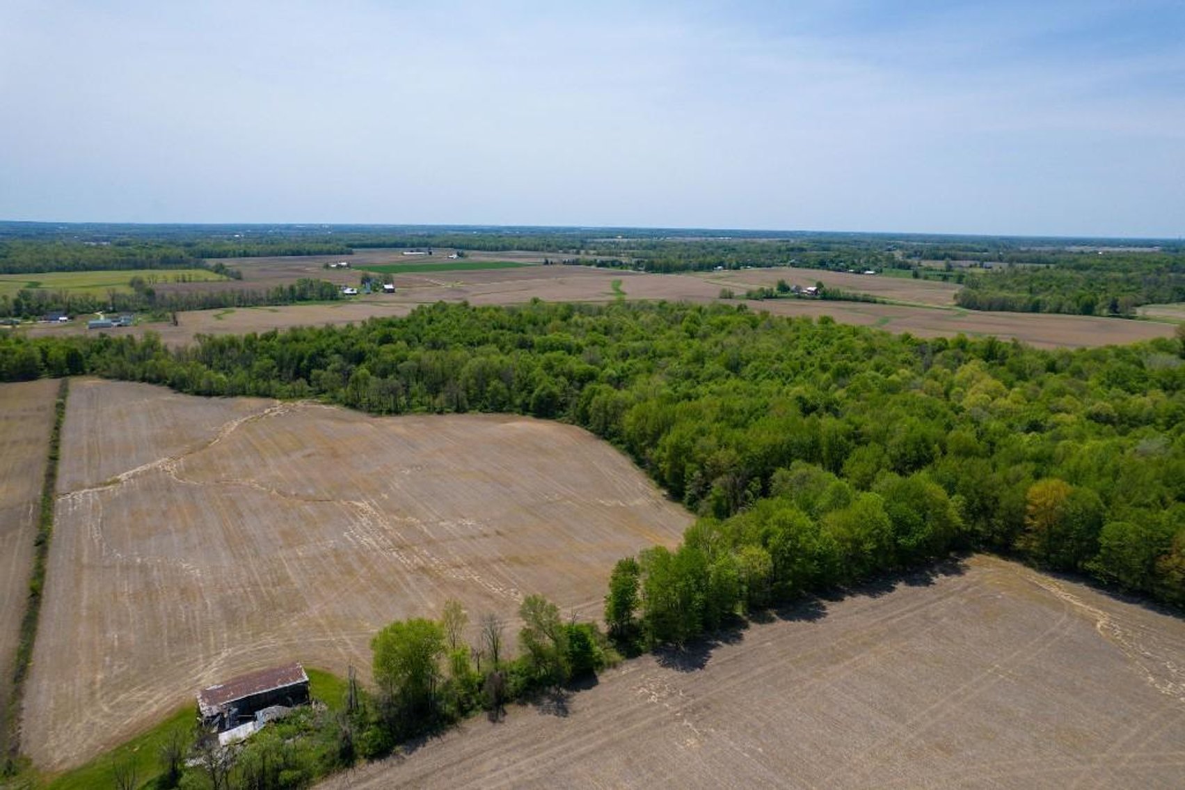 Image for 160 ACRE FARM-CENTERBURG OH