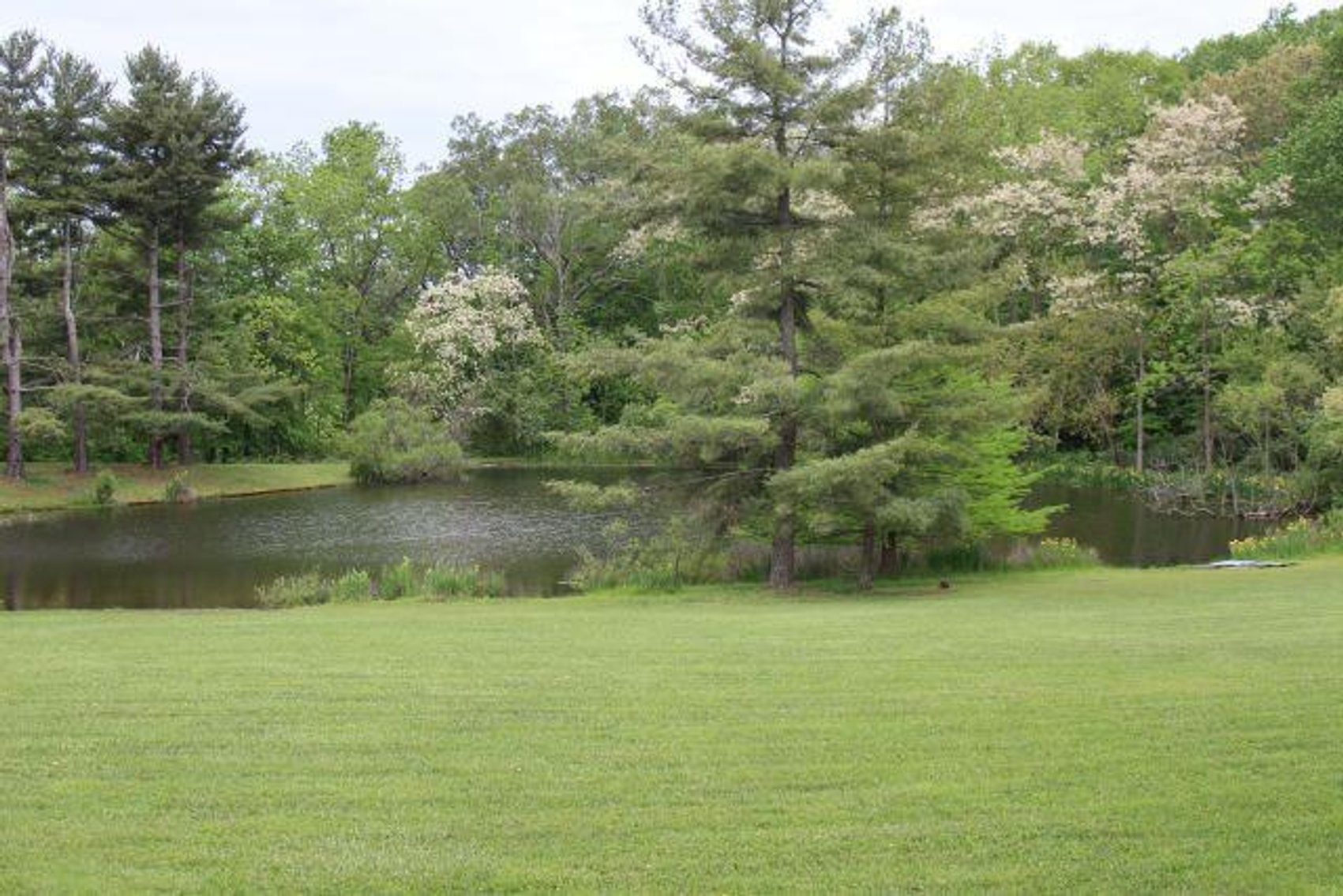 Image for 10 Acres-House-Pond