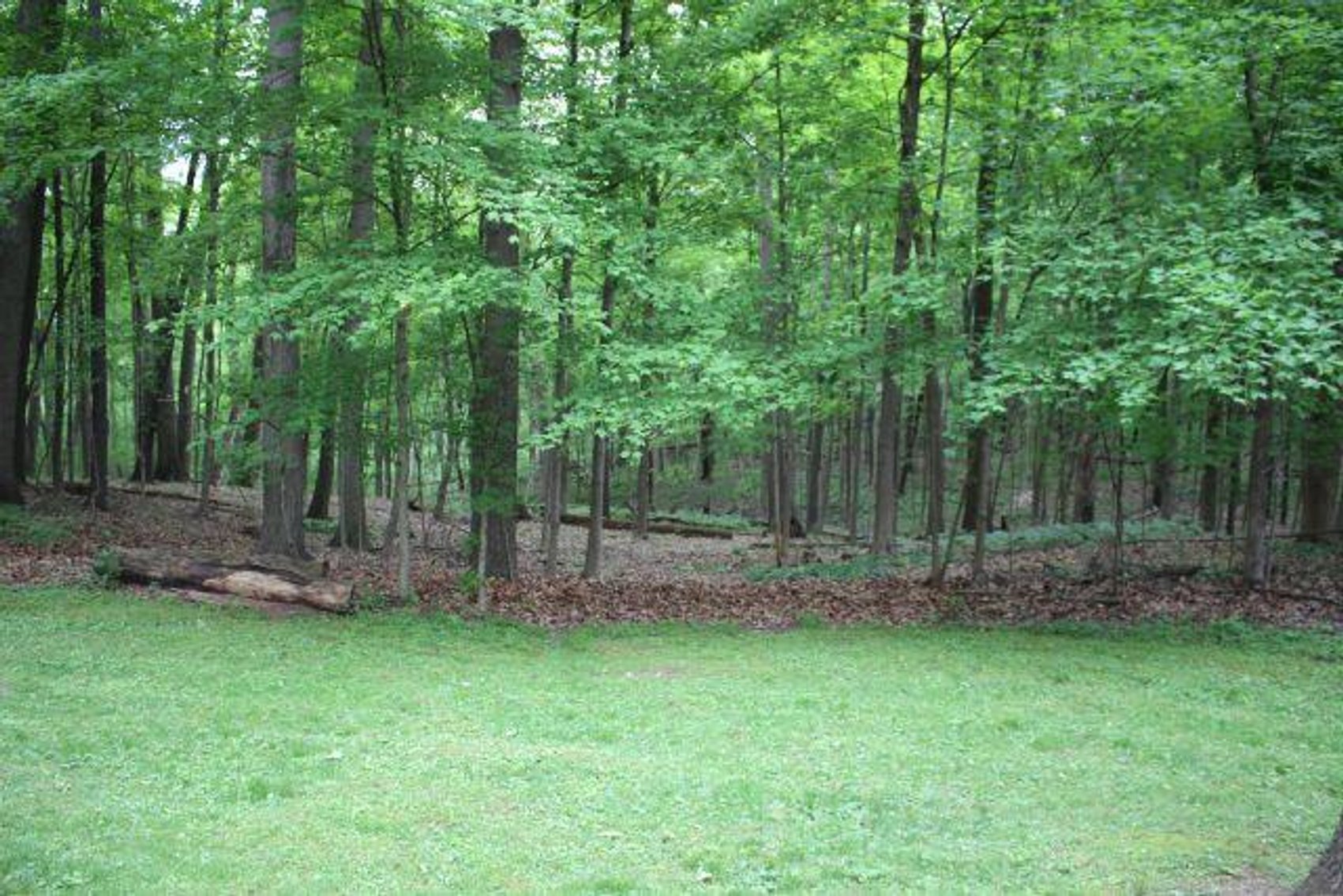 Image for 10 Acres-House-Pond