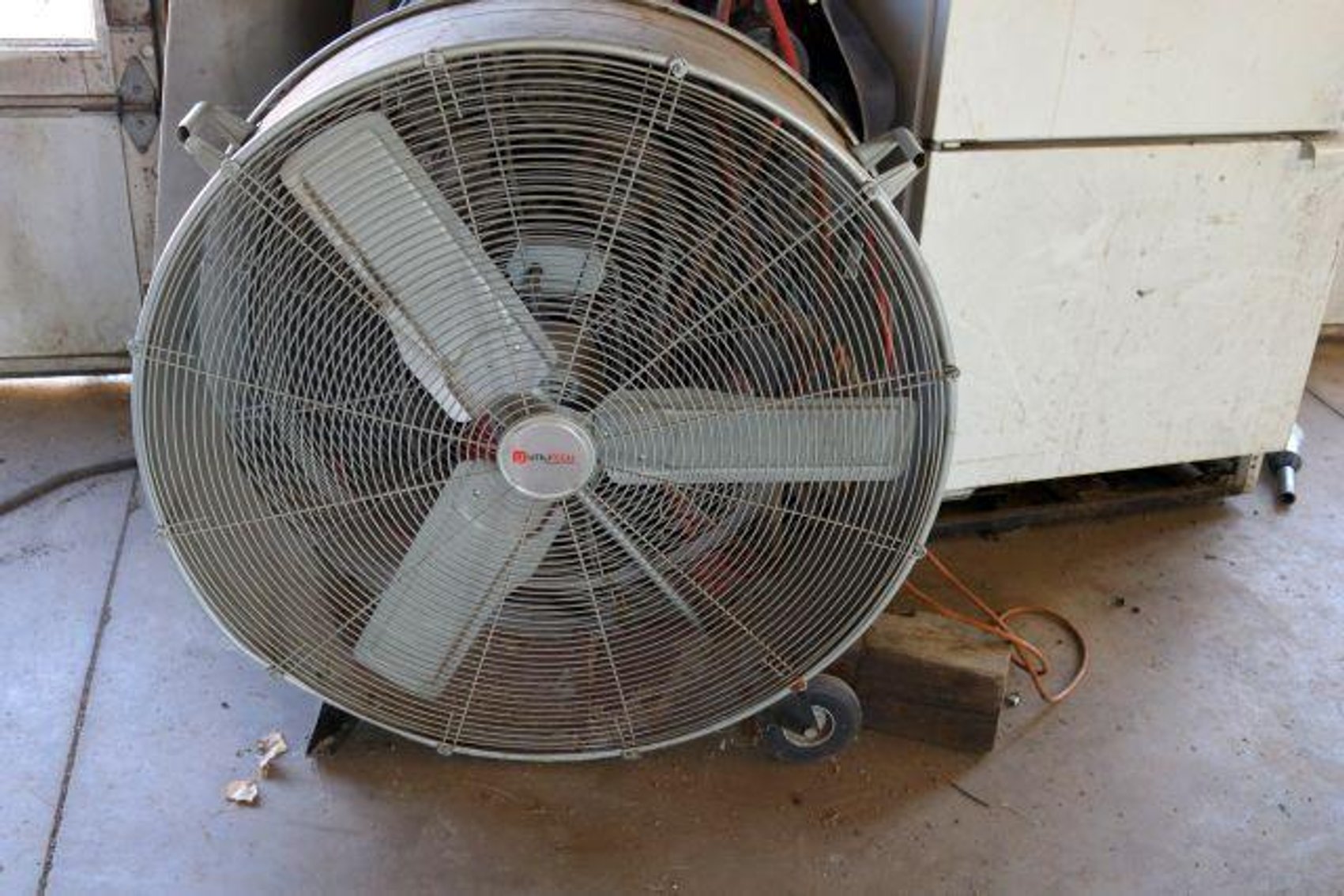 Image for DUKE'S QUICK LUBE